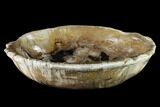 Tropical Hardwood Petrified Wood Bowl - Indonesia #132018-2